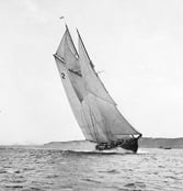 Bluenose
