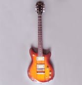 Electric Guitar