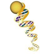Human Genome Project