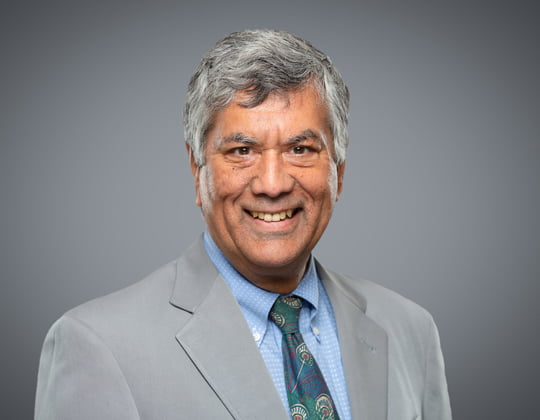 Raj Anand, Lawyer, Litigation Practice, WeirFoulds
